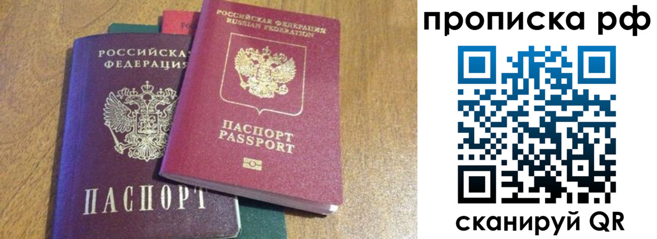 прописка поиск в Элисте